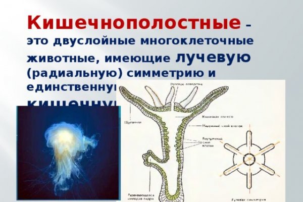 Кракен официальный сайт онион