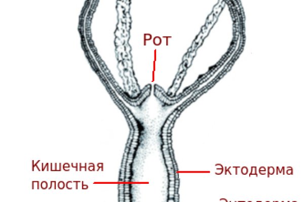 Кракен кз