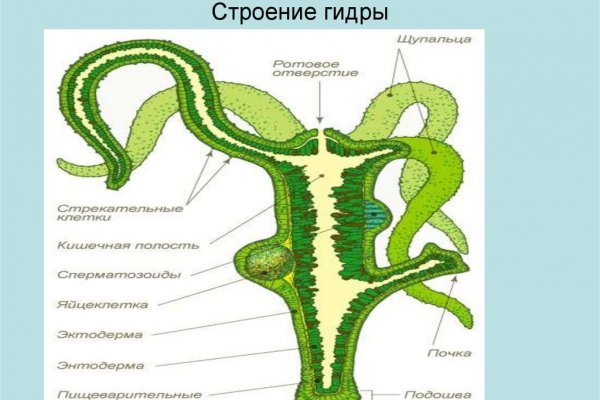 Магазин даркнета