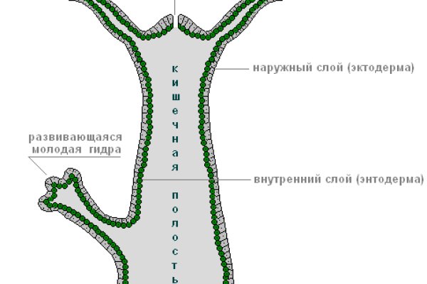 Ссылки на кракен мегу